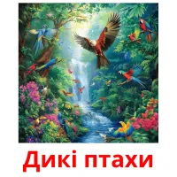 Дикі птахи picture flashcards