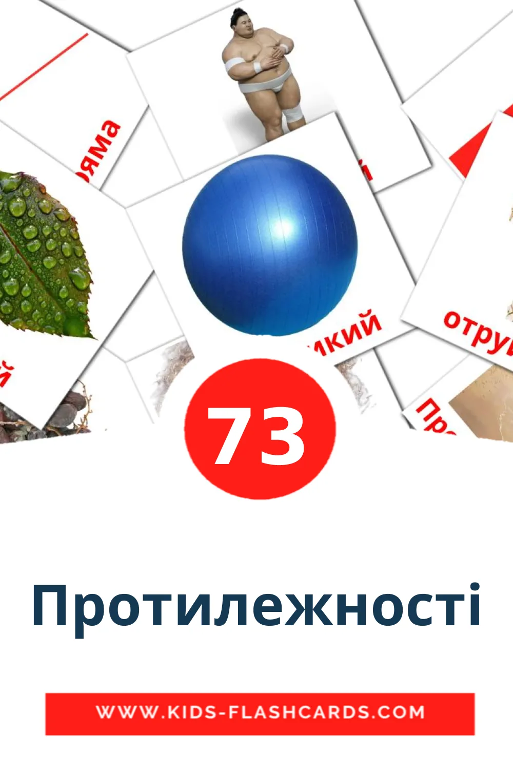 Протилежності на украинском для Детского Сада (73 карточек)