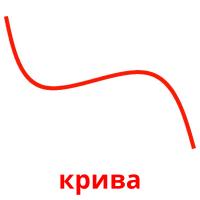 крива picture flashcards