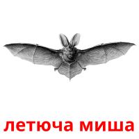 летюча миша card for translate