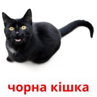чорна кішка card for translate