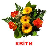 квіти card for translate