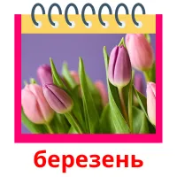 березень picture flashcards