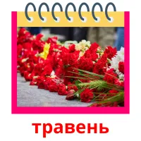 травень picture flashcards