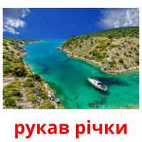 рукав річки picture flashcards