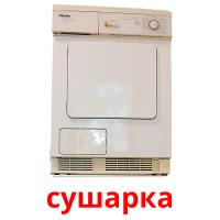 сушарка picture flashcards