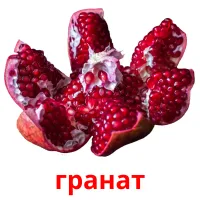 гранат picture flashcards