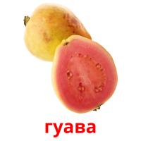 гуава picture flashcards
