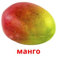 манго flashcards illustrate