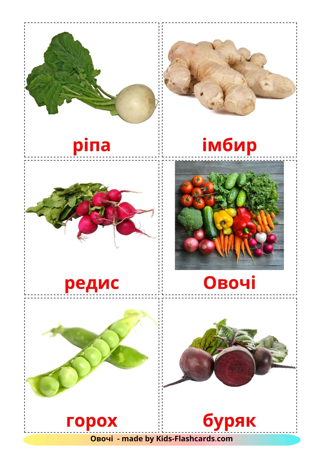 Vegetables - 30 Free Printable ukrainian Flashcards 