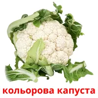 кольорова капуста picture flashcards