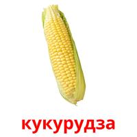 кукурудза card for translate