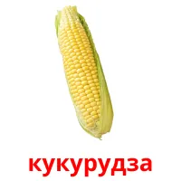 кукурудза picture flashcards