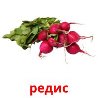 редис picture flashcards