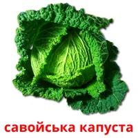 савойська капуста picture flashcards