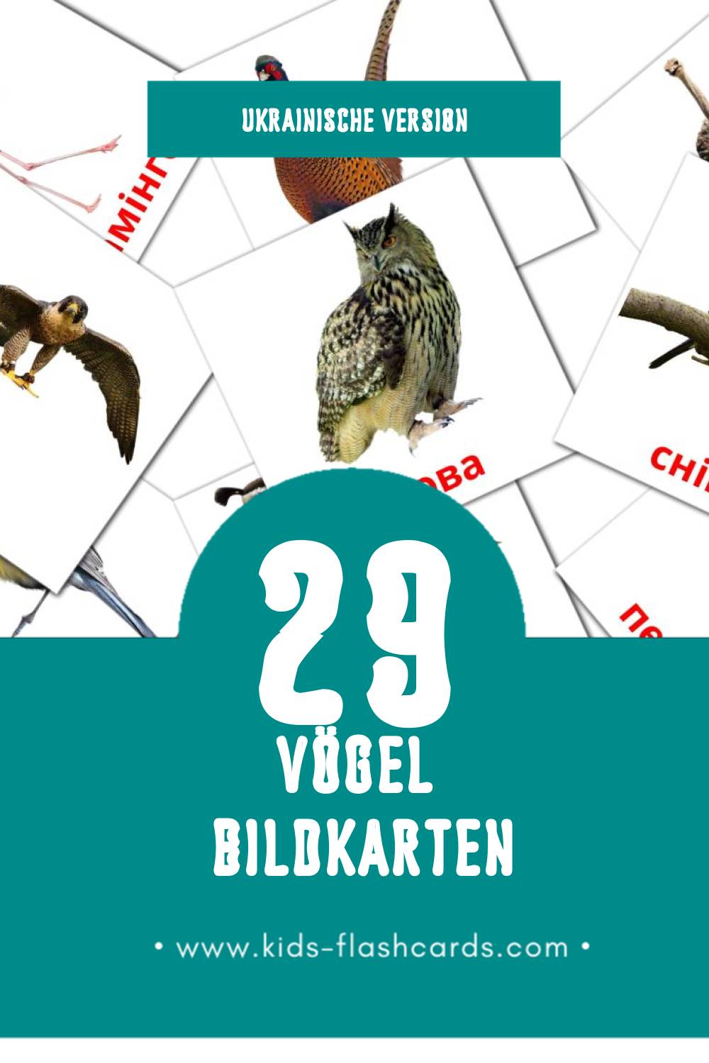 Visual Птахи Flashcards für Kleinkinder (29 Karten in Ukrainisch)