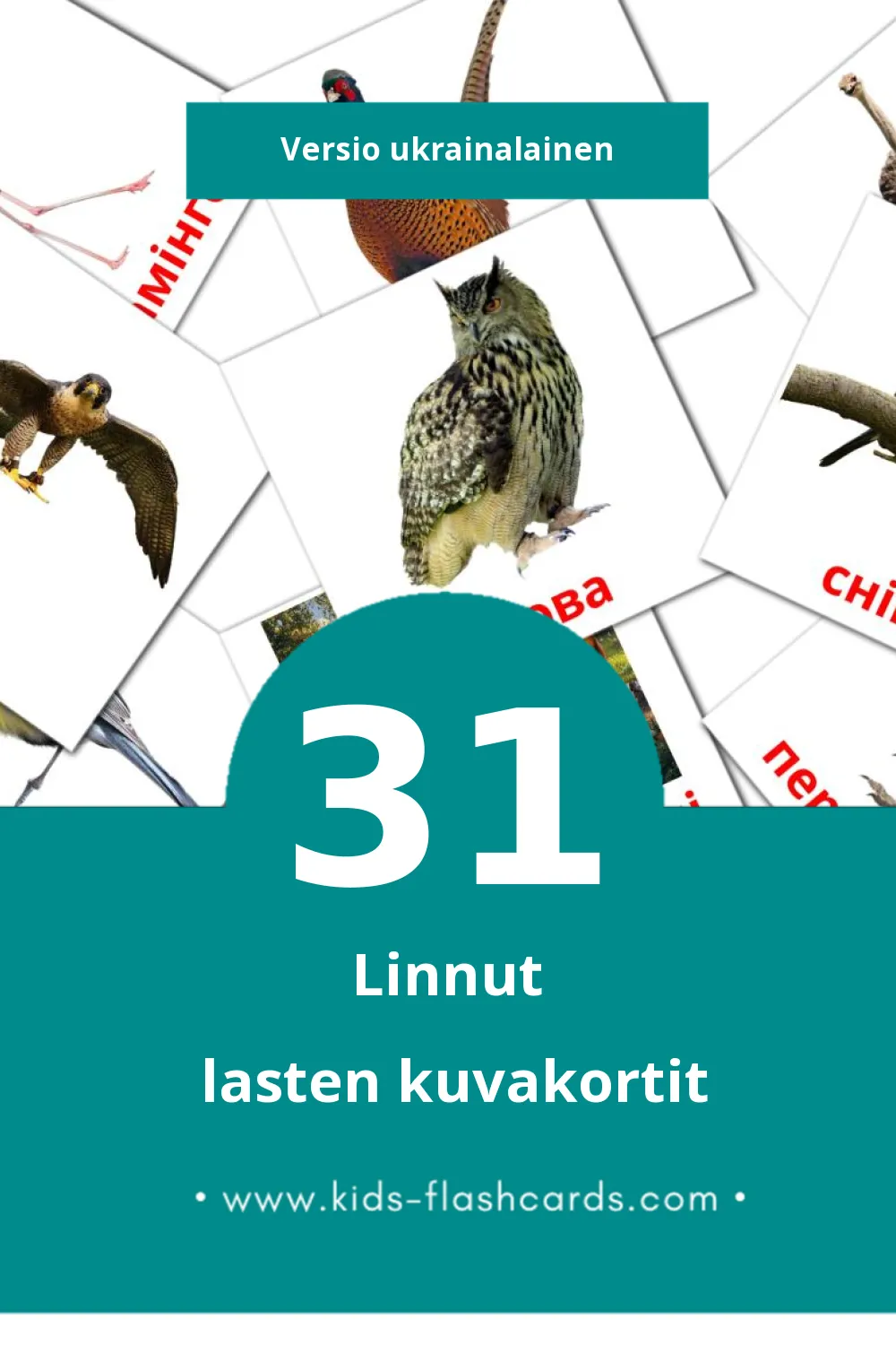 Птахи lasten kuvakortit pikkulapsille (31 korttia Ukrainalaiseksi)