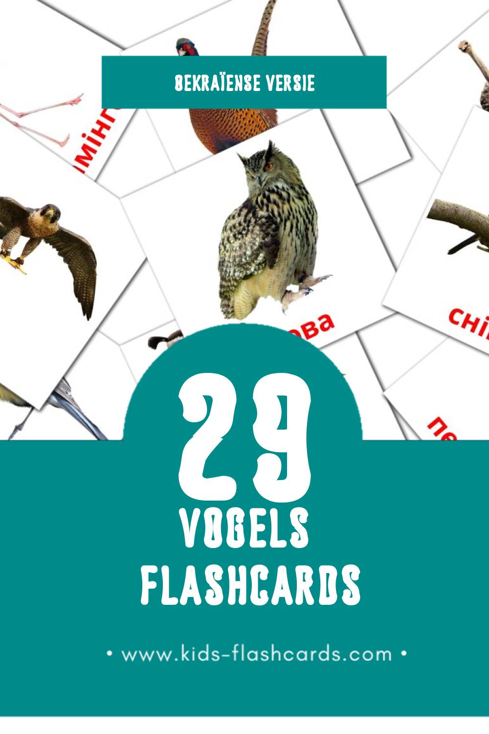 Visuele Птахи Flashcards voor Kleuters (29 kaarten in het Oekraïens)