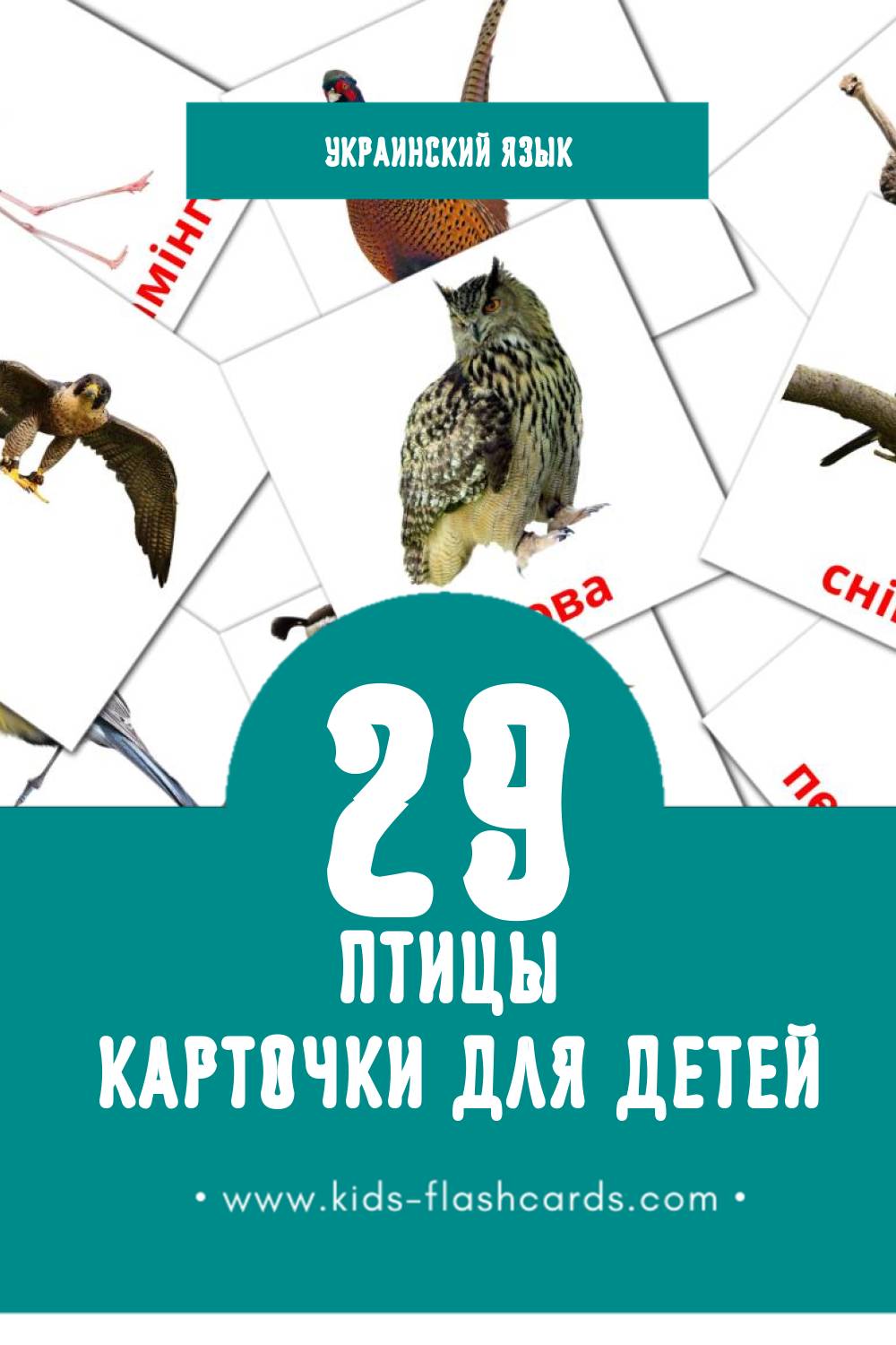 "Птахи" - Визуальный Украинском Словарь для Малышей (29 картинок)