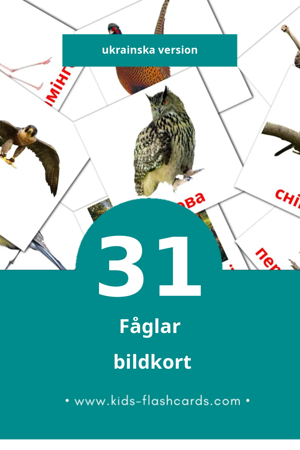 Visuella Птахи för småbarn (31 bildkort för barn på Ukrainska)