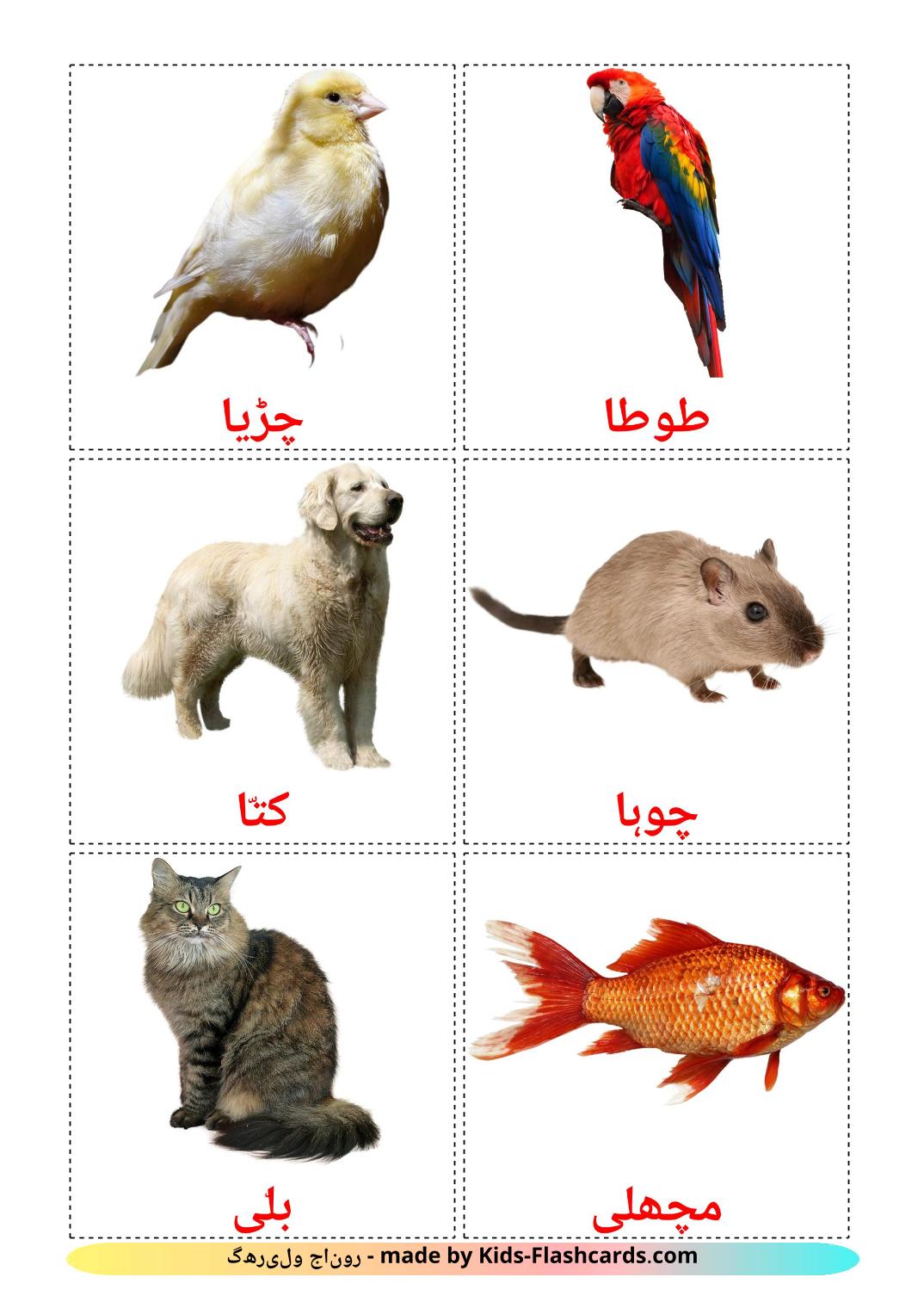 Domestic animals - 10 Free Printable urdu Flashcards 
