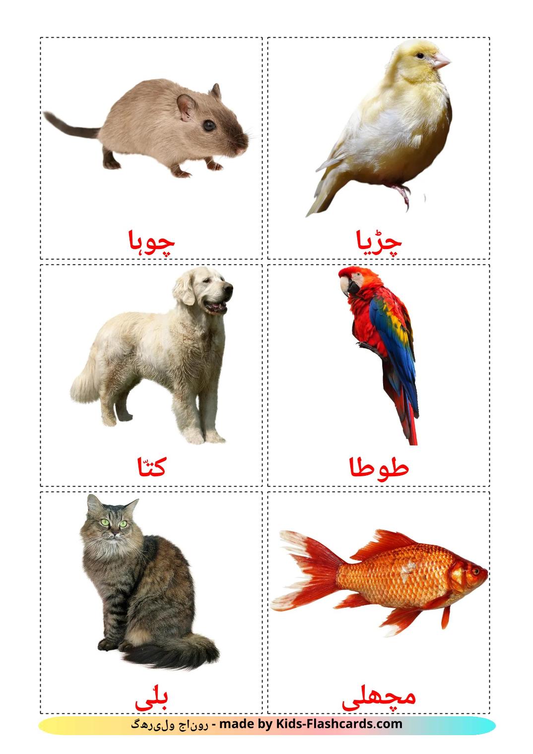 Les animaux Domestiques - 11 Flashcards ourdou imprimables gratuitement