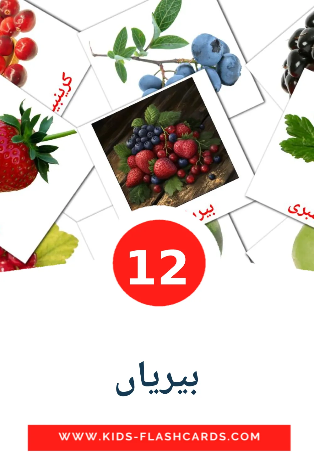 12 بیریاں Picture Cards for Kindergarden in urdu