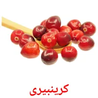 کرینبیری picture flashcards