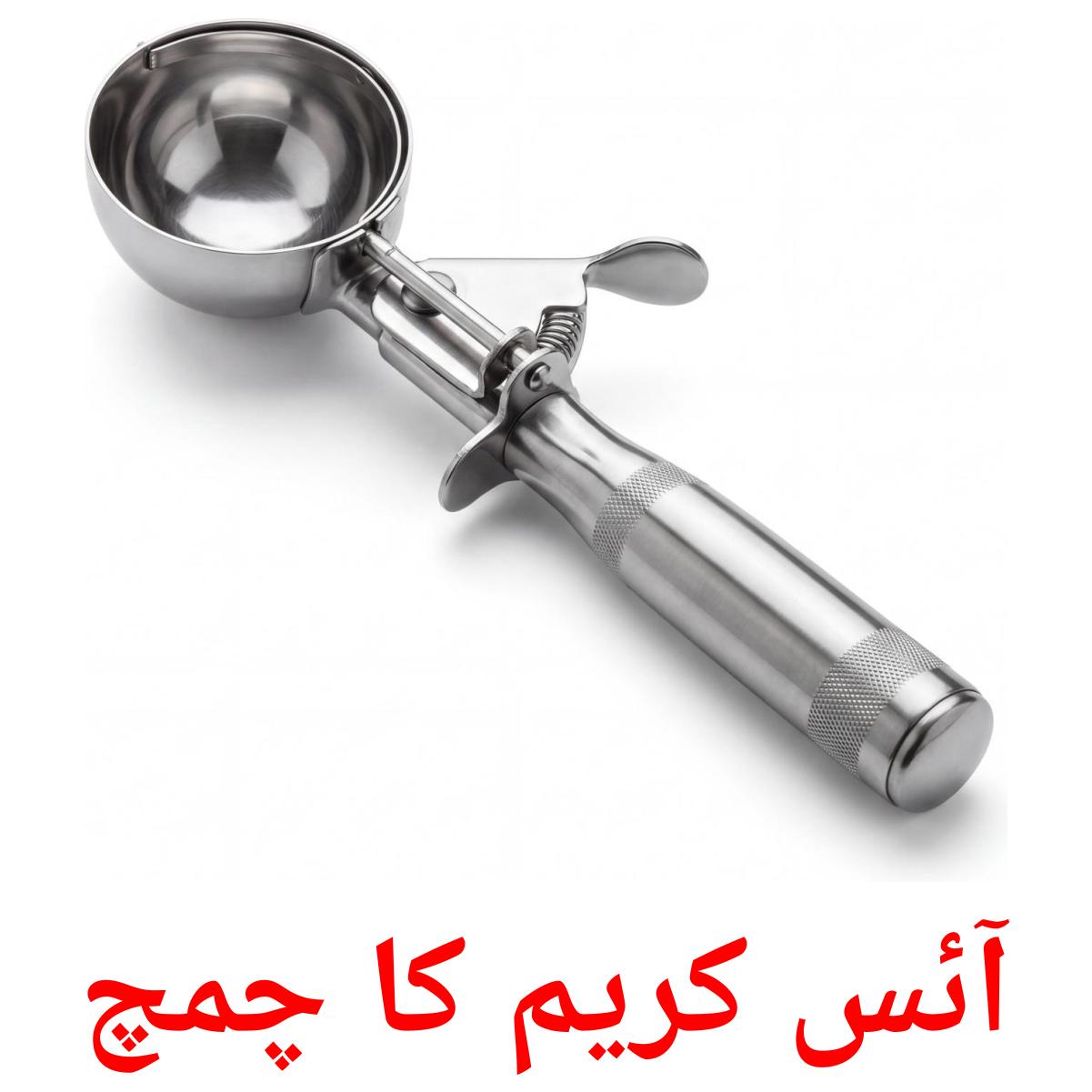 31 Printable Kitchenware Flashcards in Urdu (Free PDF)