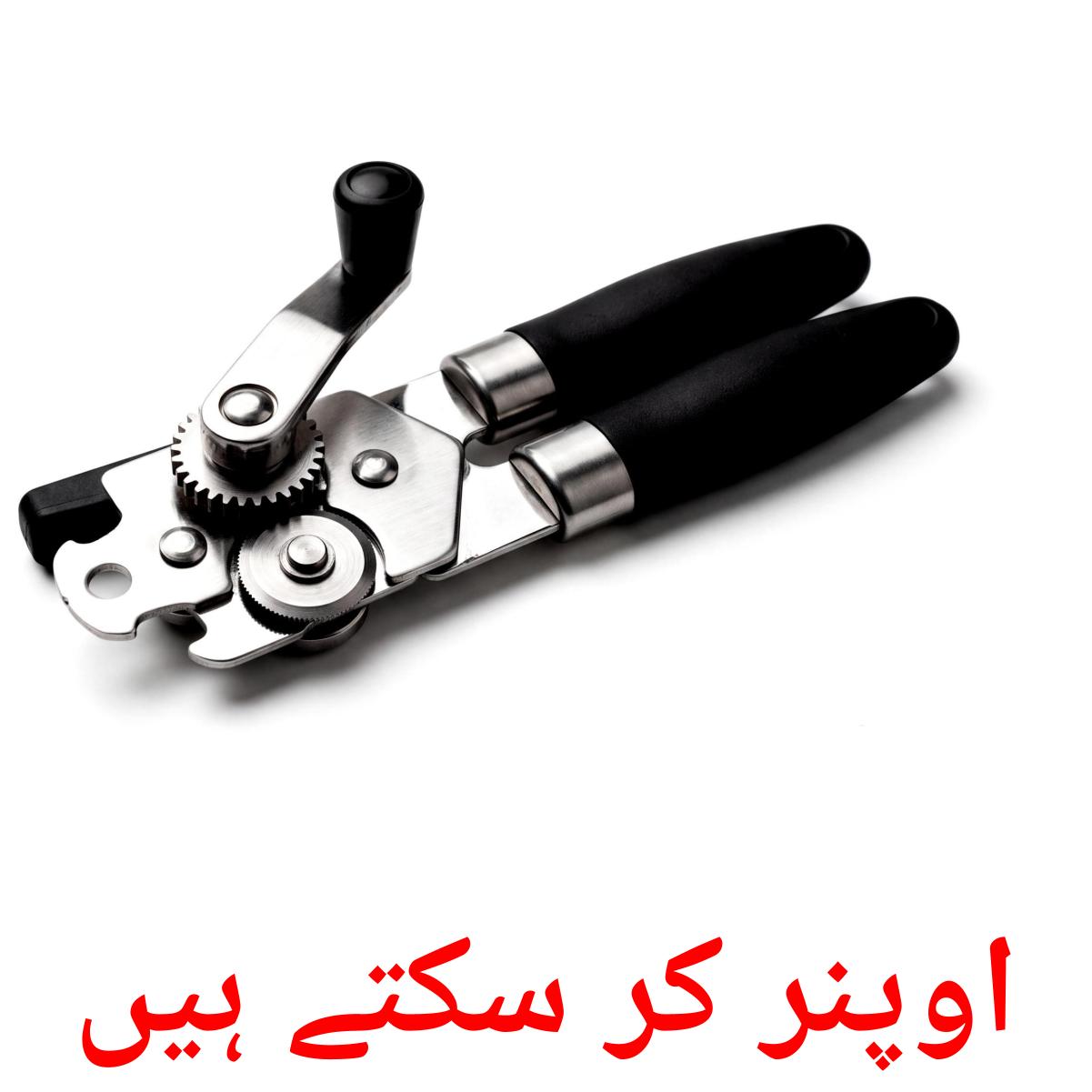 31 Printable Kitchenware Flashcards in Urdu (Free PDF)