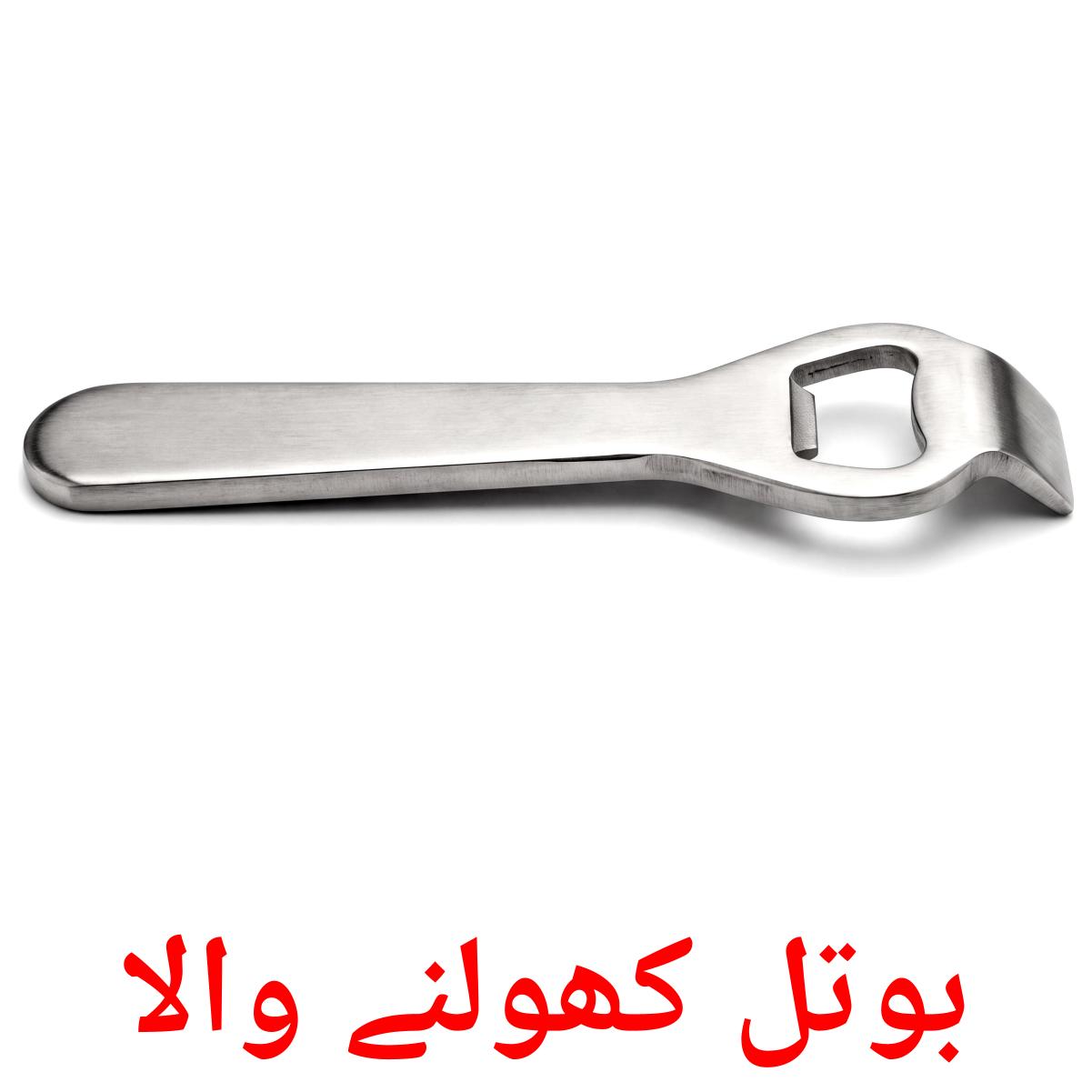 31 Printable Kitchenware Flashcards in Urdu (Free PDF)
