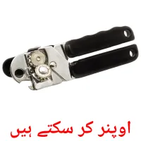 اوپنر کر سکتے ہیں picture flashcards