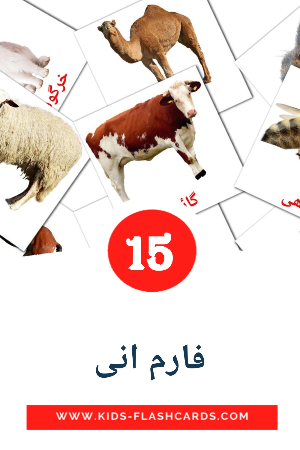 15 فارم انی Picture Cards for Kindergarden in urdu