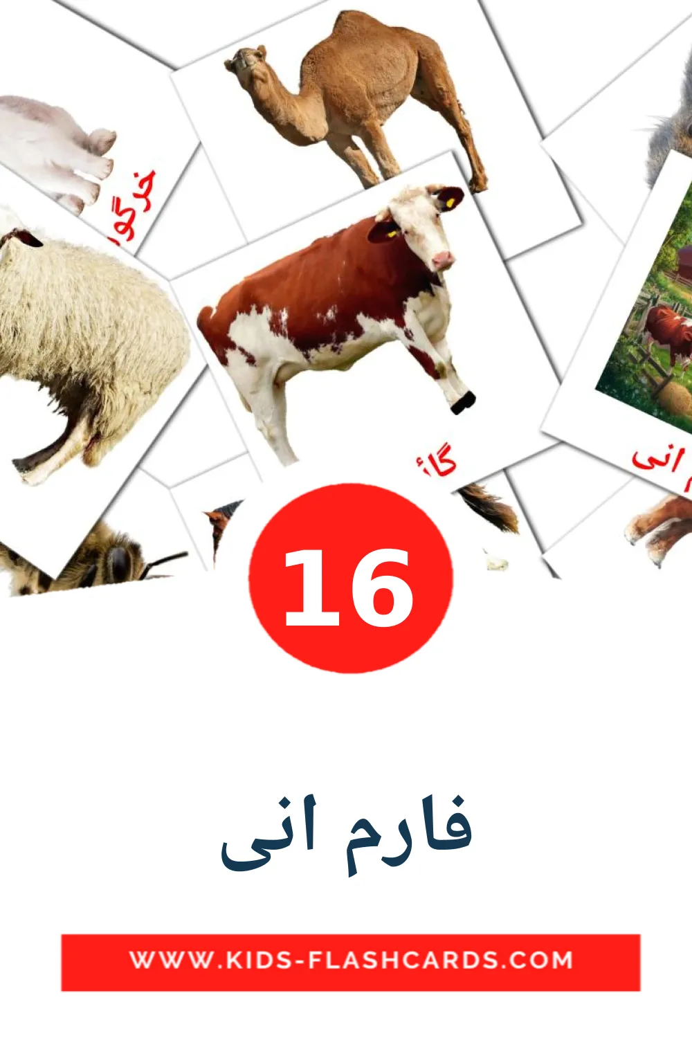 16 cartes illustrées de فارم انی pour la maternelle en ourdou