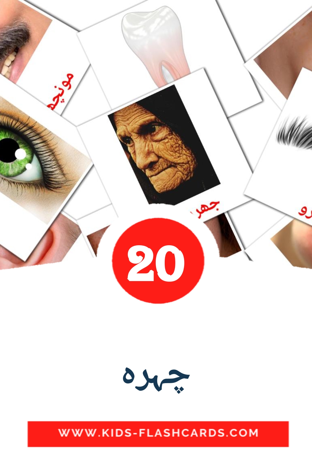 20 چہرہ Picture Cards for Kindergarden in urdu