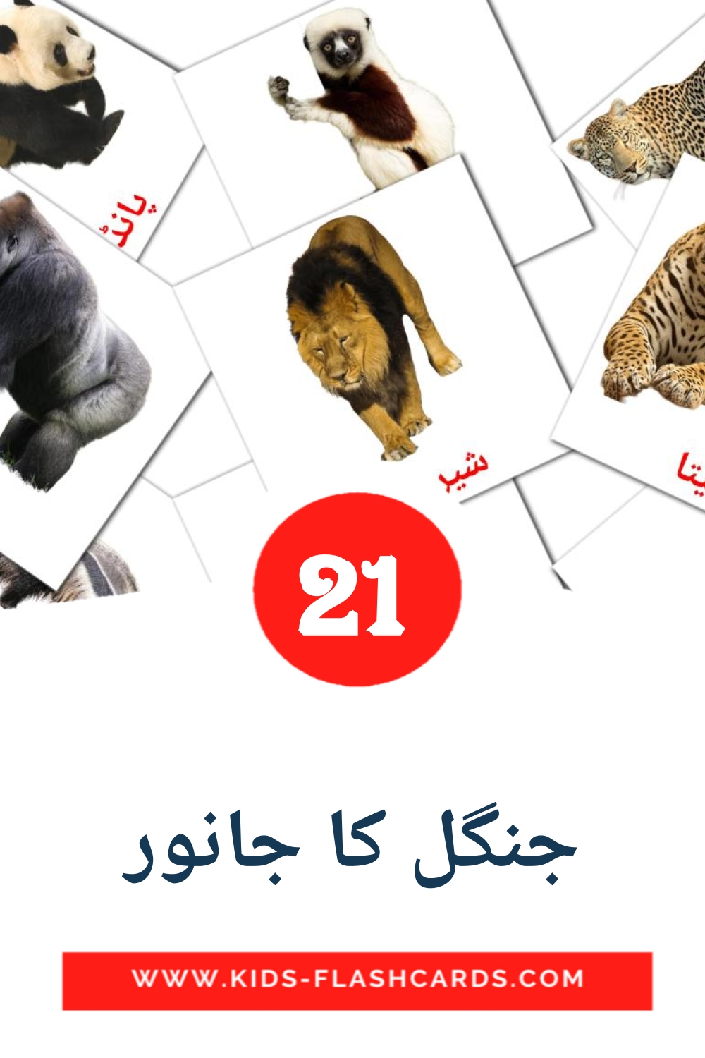 21 cartes illustrées de جنگل کا جانور pour la maternelle en ourdou