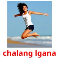 chalang lgana picture flashcards