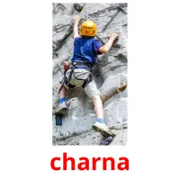 charna picture flashcards