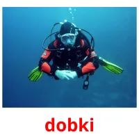 dobki picture flashcards