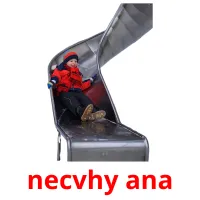 necvhy ana picture flashcards