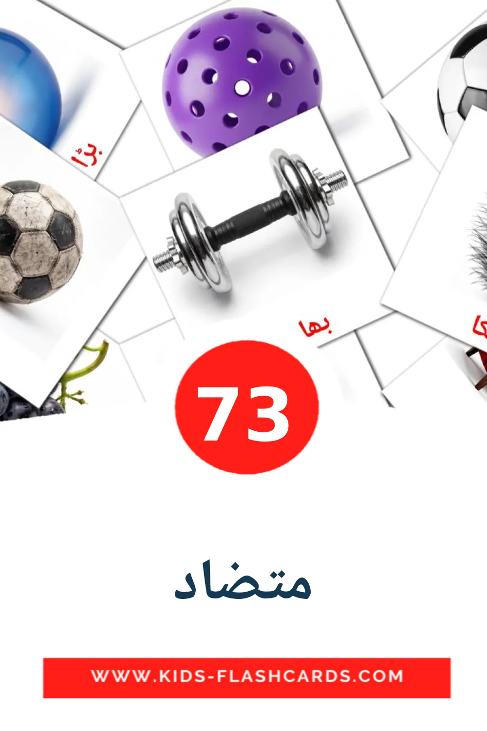 73 carte illustrate di متضاد per la scuola materna in urdu