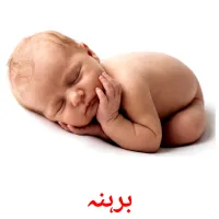 برہنہ flashcards illustrate