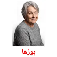 بوڑھا flashcards illustrate
