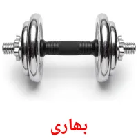 بھاری flashcards illustrate
