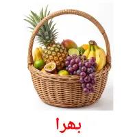 بھرا flashcards illustrate