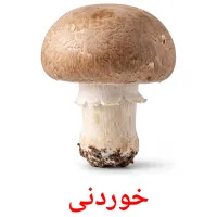 خوردنی flashcards illustrate