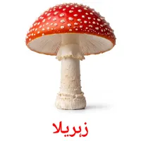 زہریلا flashcards illustrate