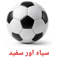 سیاہ اور سفید flashcards illustrate