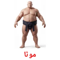 موٹا flashcards illustrate