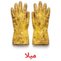 میلا flashcards illustrate
